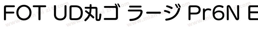 FOT UD丸ゴ ラージ Pr6N E字体转换